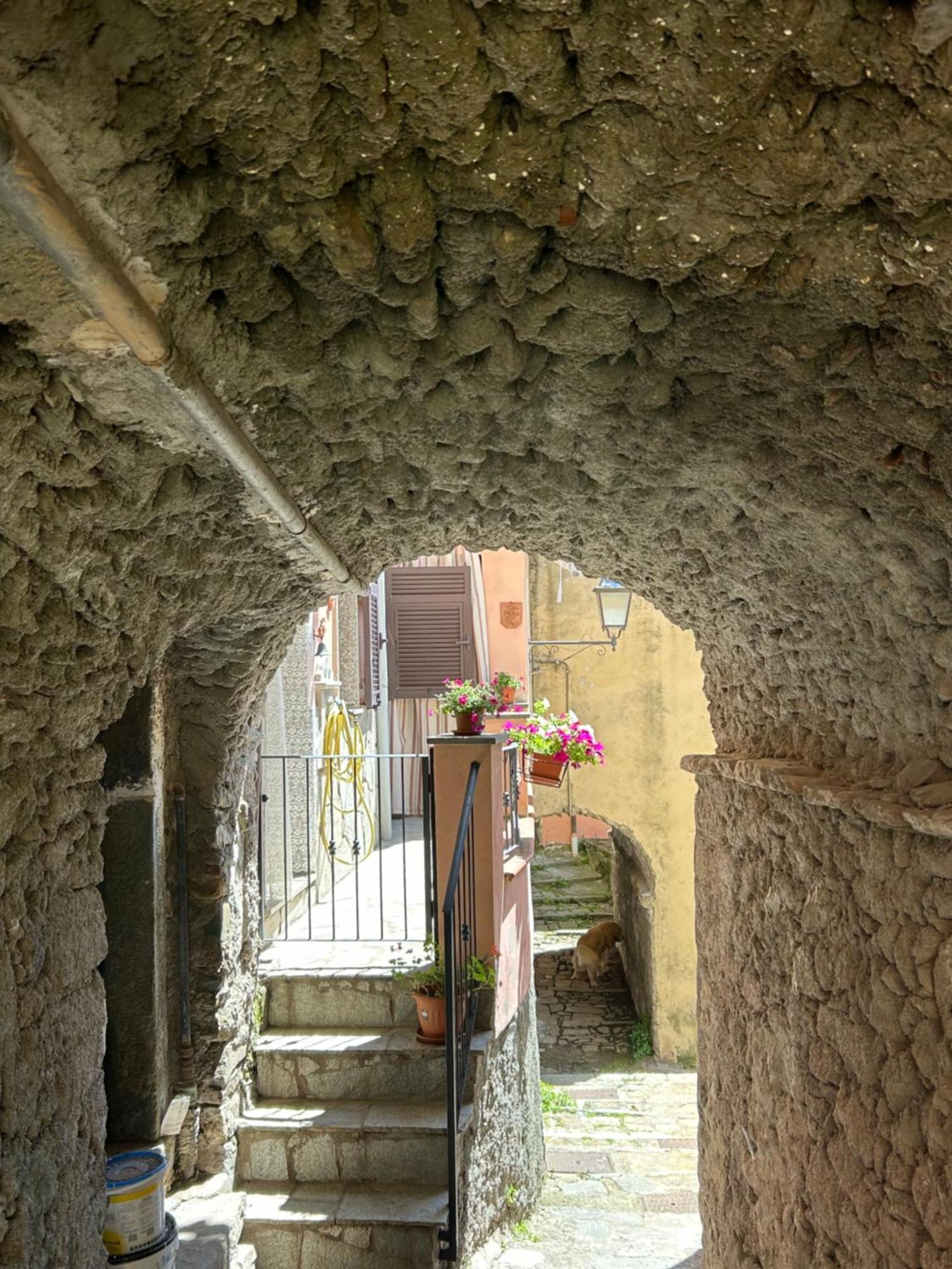 Ca De Igiu-Biassa-Cinque Terre Apartamento Exterior foto